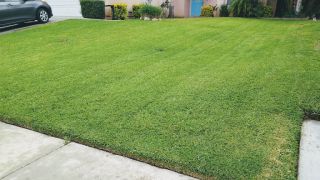 lawn care service riverside Cold Springs Lawn Care