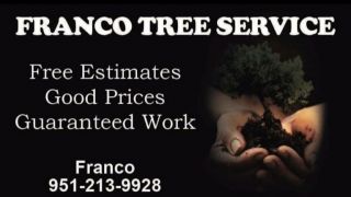 tree service riverside Franco Tree Service