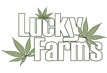 cannabis store riverside Lucky Farms