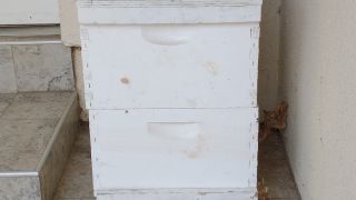 honey farm roseville Benjamin's Beekeeping, Inc