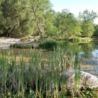 fountain contractor roseville Fuentes Lake & Pond Management