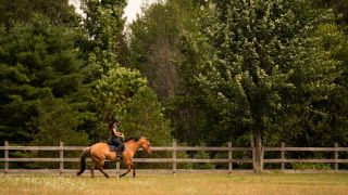 horse riding field san jose Jaxvale Horsemanship