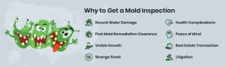 sanitary inspection san jose Mold Inspection & Testing San Jose CA