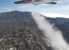 pet cemetery santa ana A Journey With Wings