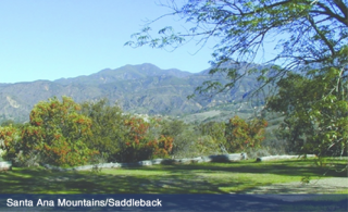 pet cemetery santa ana A Journey With Wings