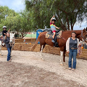 children s party service simi valley Gabi’s Barnyard Adventures