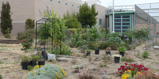 juvenile detention center simi valley Ventura County Juvenile Justice