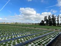 college of agriculture simi valley Hansen Agricultural Center, Faulkner Farm