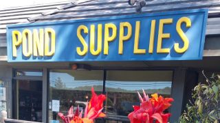 pond supply store vallejo Yellow Lotus WaterGardens