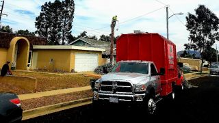 tree service ventura Jorge Salinas Tree Service