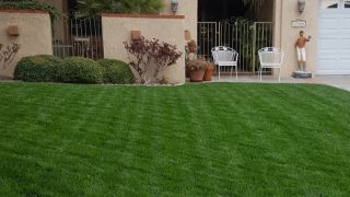 gardener victorville Blackwood's Landscape Maintenance