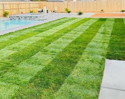 sod supplier visalia Saving Pro Landscaping