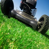 Visalia Lawn Services